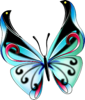 a beautiful blue butterfly 